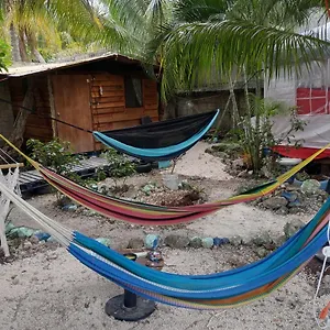 Séjour chez l'habitant Sustainable Cabain