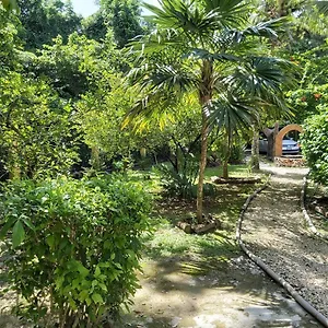 Villa Mini Pini Bird Watching Loft, Cozumel
